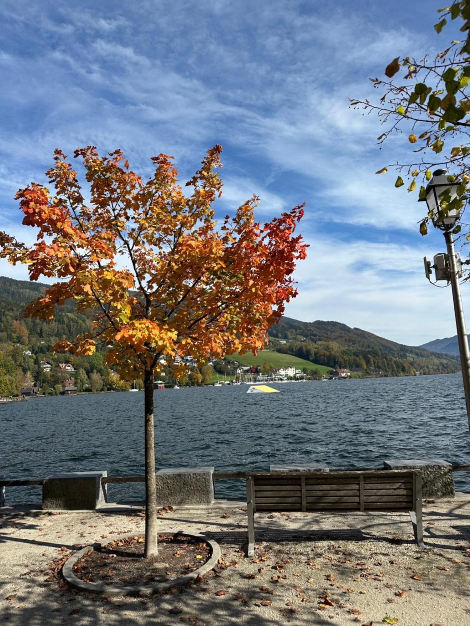 17Er Apartment Mit Sauna Und Privater Garage Mondsee Kültér fotó