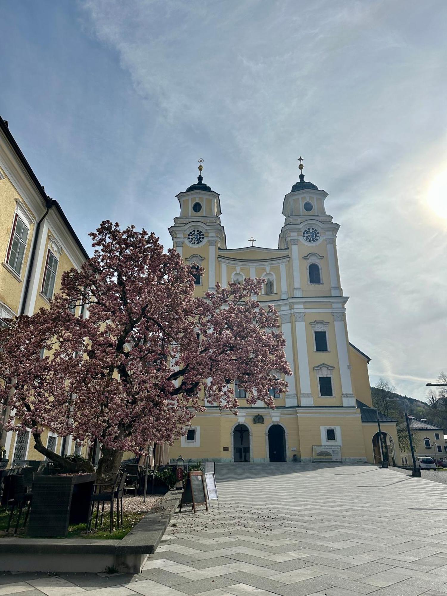 17Er Apartment Mit Sauna Und Privater Garage Mondsee Kültér fotó